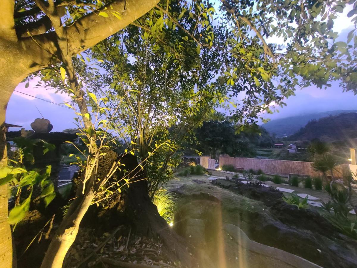 Alam Bali Lake View Bangli 外观 照片