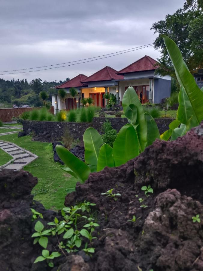 Alam Bali Lake View Bangli 外观 照片